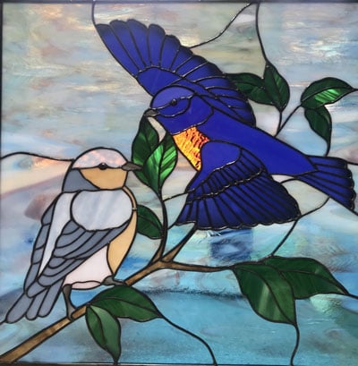 Western Bluebirds