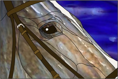 Window to the Soul