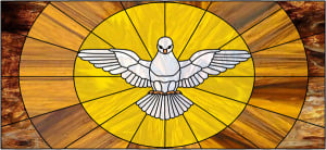 Alabaster Dove