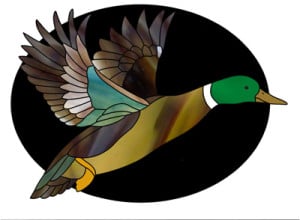 Fused Flying Duck