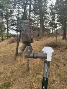 T-POST MOUNT