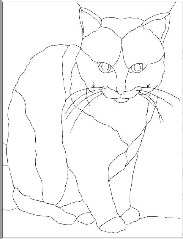 Cat 2