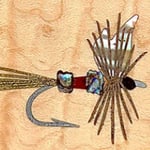Coachman