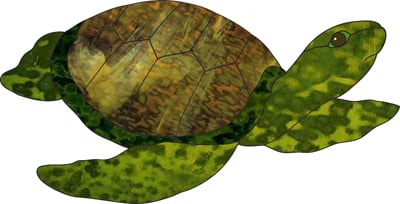 Sea Turtle