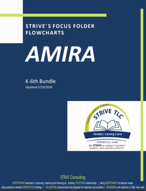Amira (previously ISIP) Flowcharts