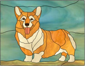 Corgi Dog