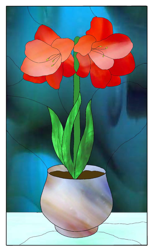Amaryllis Flower