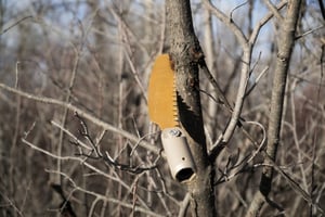 Saw Blade