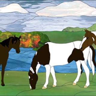 Animals