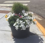 07-25 Baskets