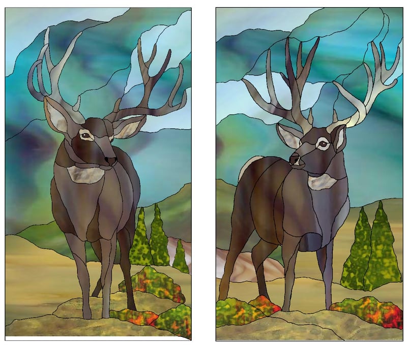 Mule Deer Bucks