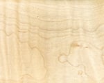 Tiger Maple
