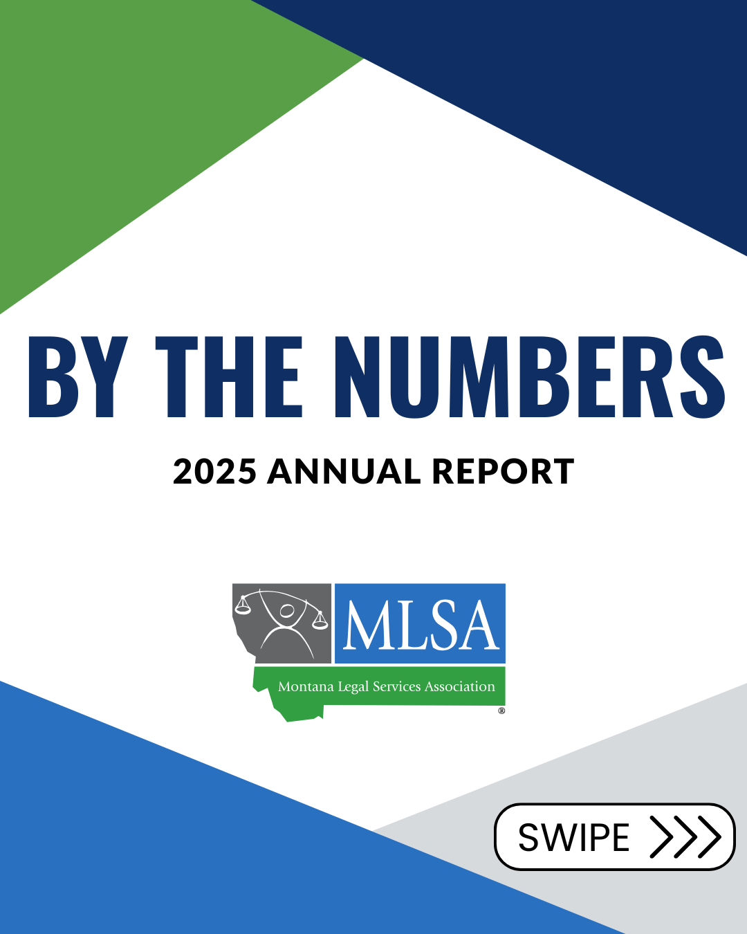 Text that reads, "By the numbers 2025 annual report" above MLSA's logo.