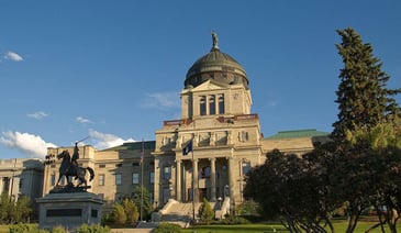 IMG_8719
