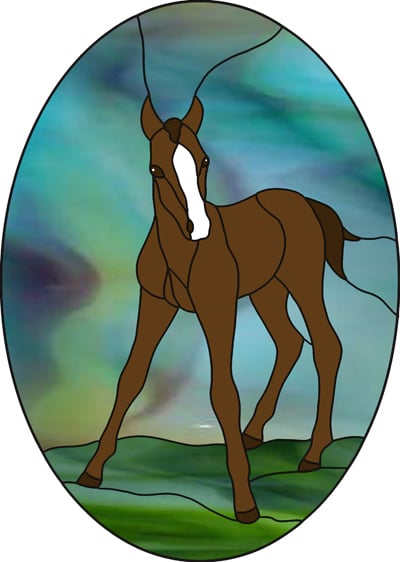 Horse Foal