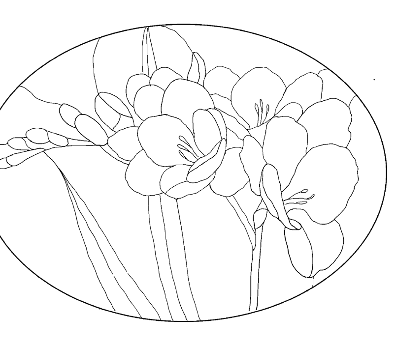 Flower 1