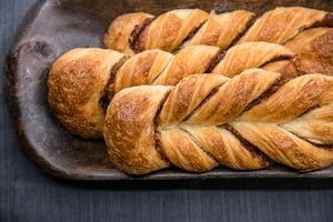Cinnamon Elkhorn