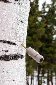 Tree Attachment