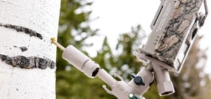 Single Camera Mount & Tree Attachment