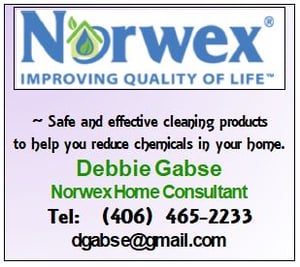 NORWEX HOME CONSULTANT