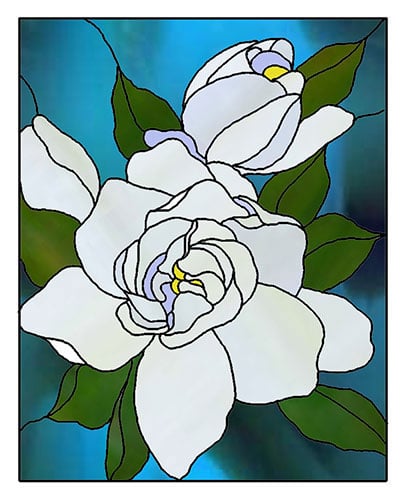 Magnolia Flowers