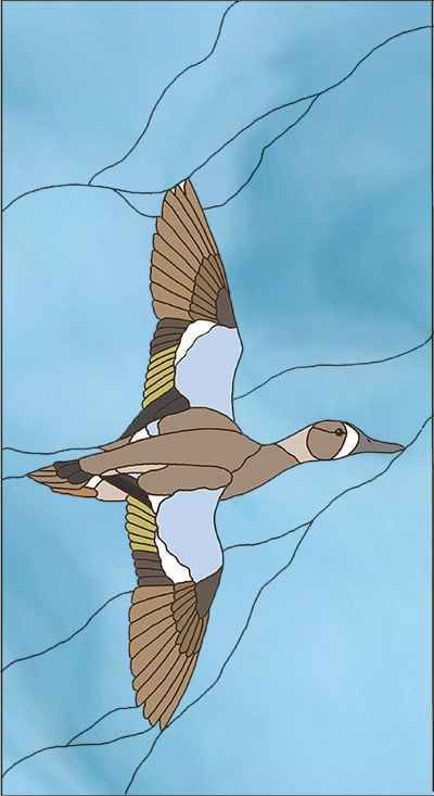 Blue Wing Teal Duck