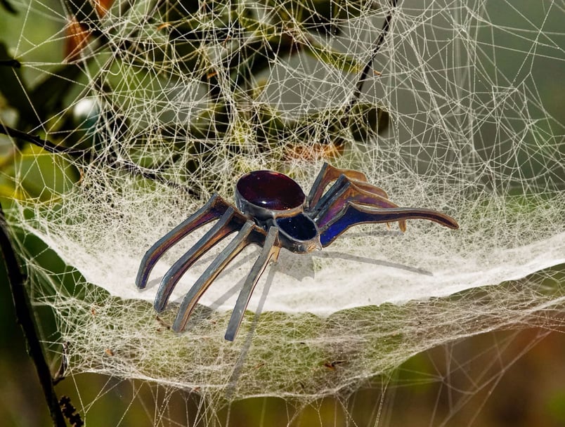 3D Spider