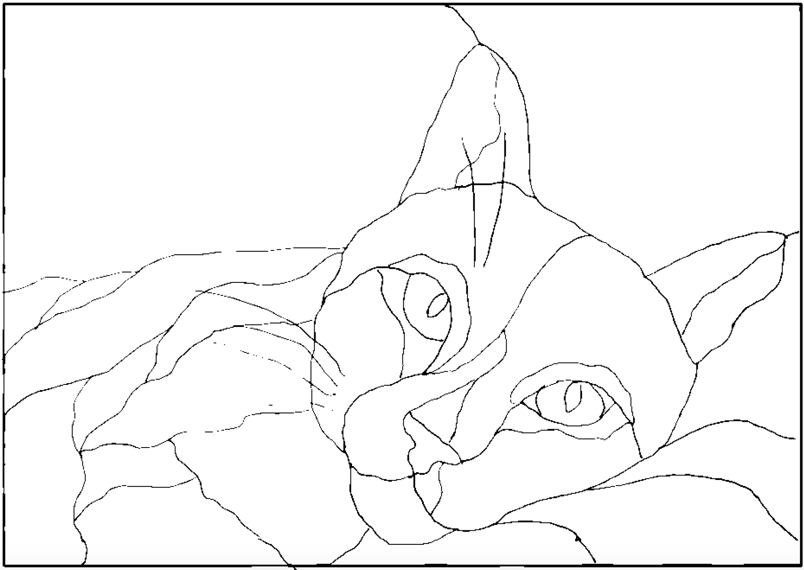 Cat 3