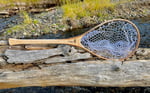 Tiger Maple