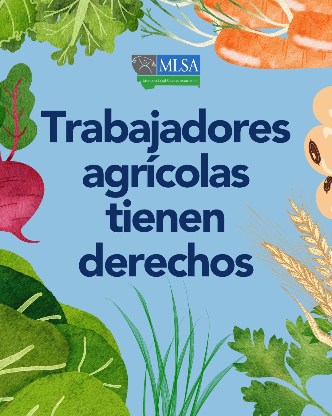 Texto que dice "Trabajadores agrícolas tienen derechos" rodeando por verduras.