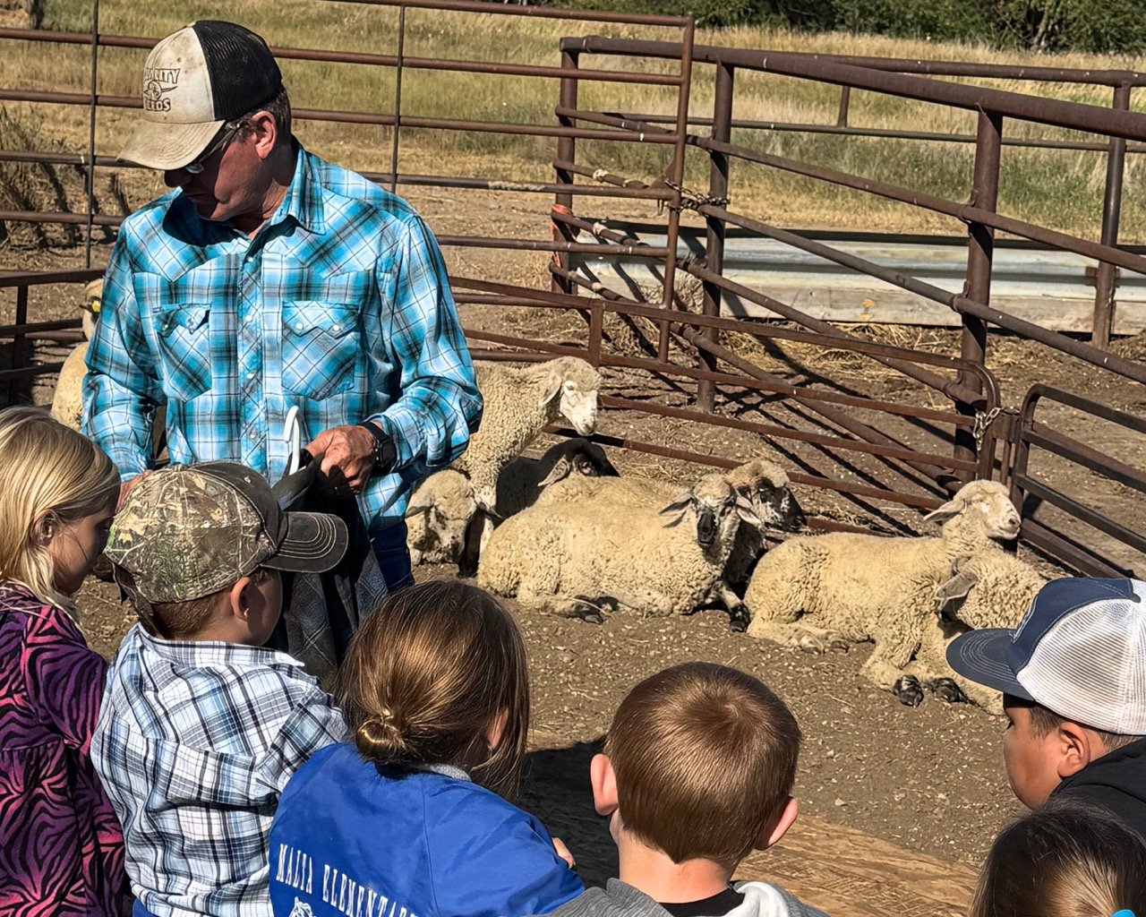 Marko Manoukian, longtime Phillips County Extension agent, teaches students about wool production during Ag Education Day.