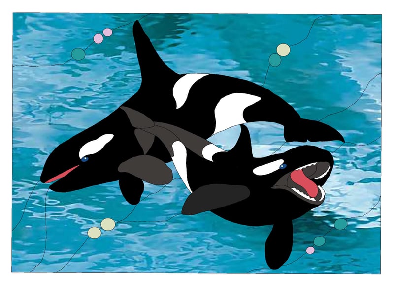 Dancing Orca Whales