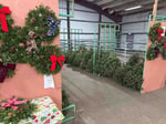 Christmas Tree2