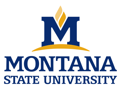 Geospatial and Mapping Camp for High School Students