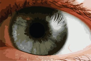 An image of an eye.