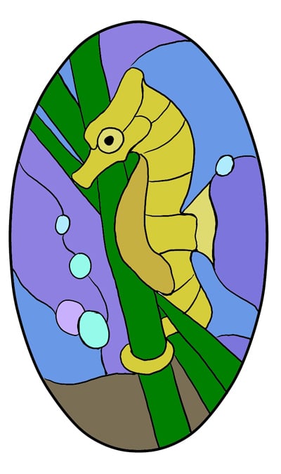 Baby Sea horse