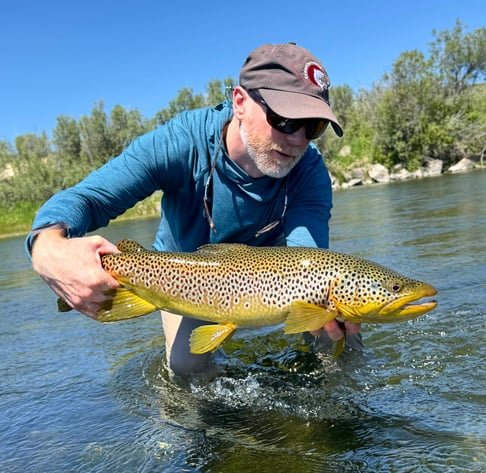 Scientific Anglers Amplitude TEXTURED Trout Standard Fly Line