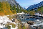 Fall in Montana