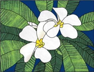 Plumeria Flower