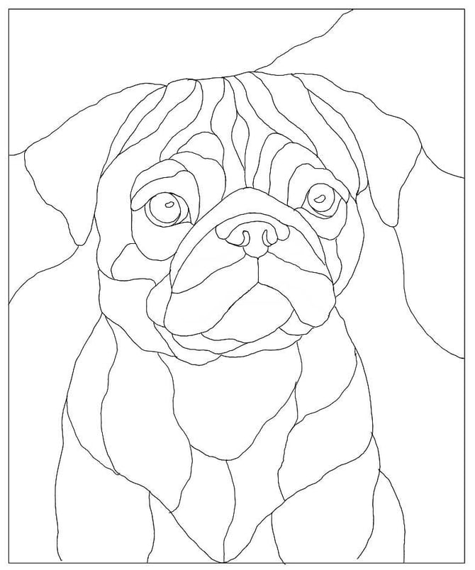 Pug Puppy