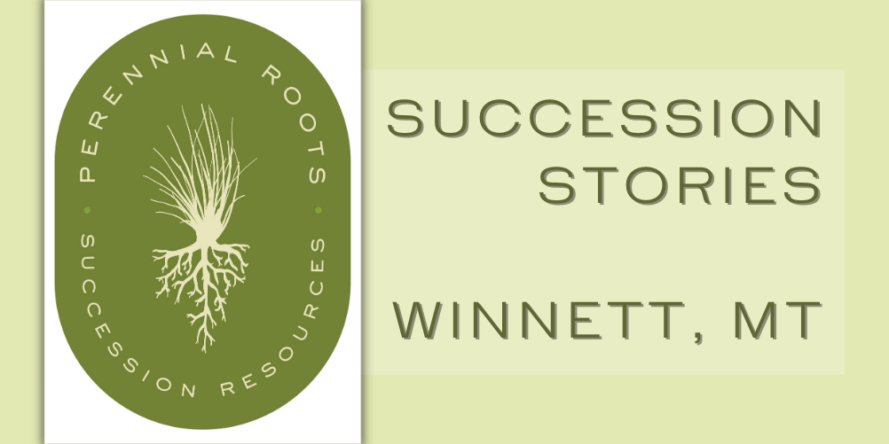 Perennial Roots: Succession Stories, Winnett