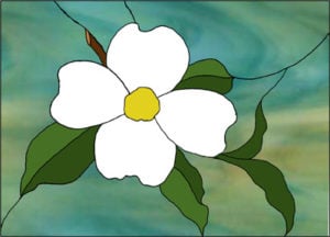 Dogwood Blossom