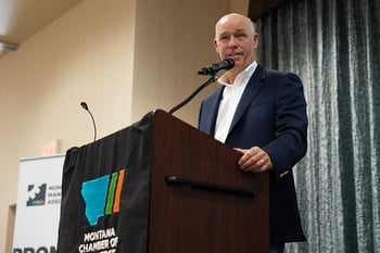 Governor