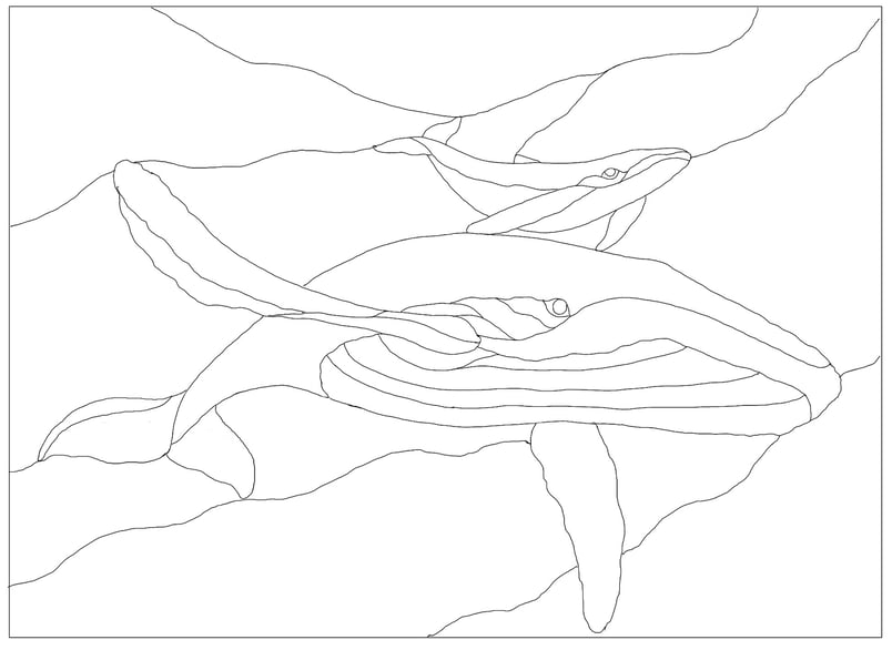 Humpback Whale and Calf