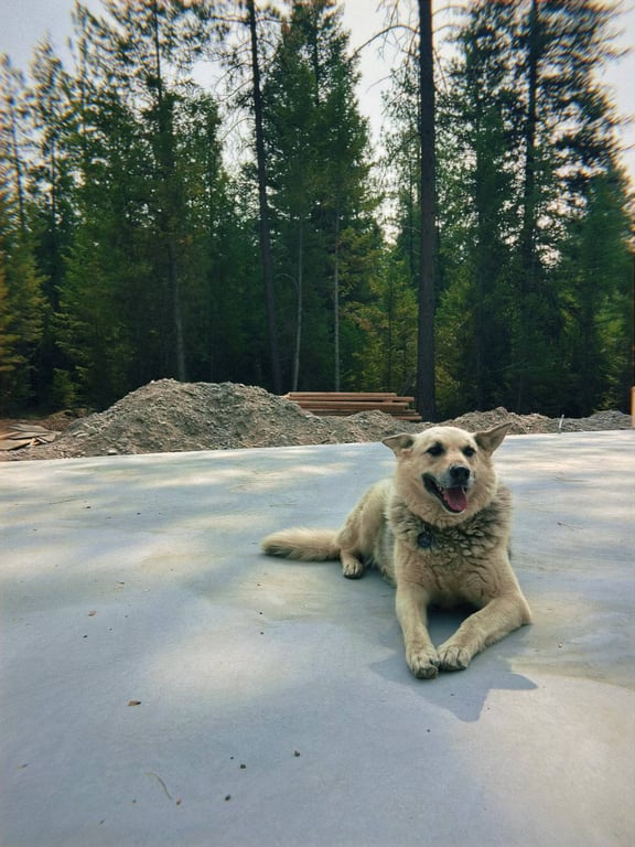 Lorem ipsum dolor sit amet.