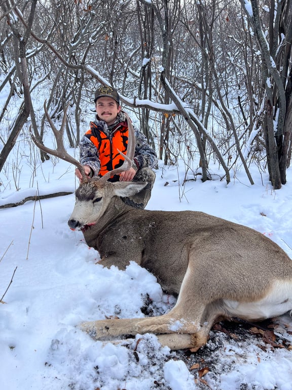 Lorem ipsum dolor sit amet.