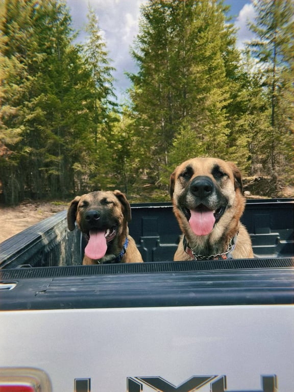 Lorem ipsum dolor sit amet.