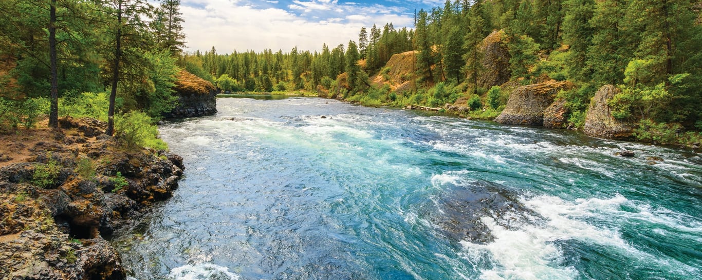 Rushing river in the spring