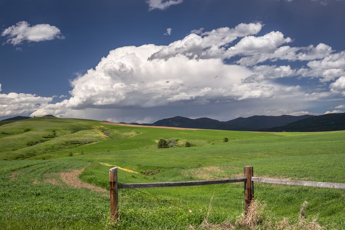 Green meadows and ranch fencing with hills in the background