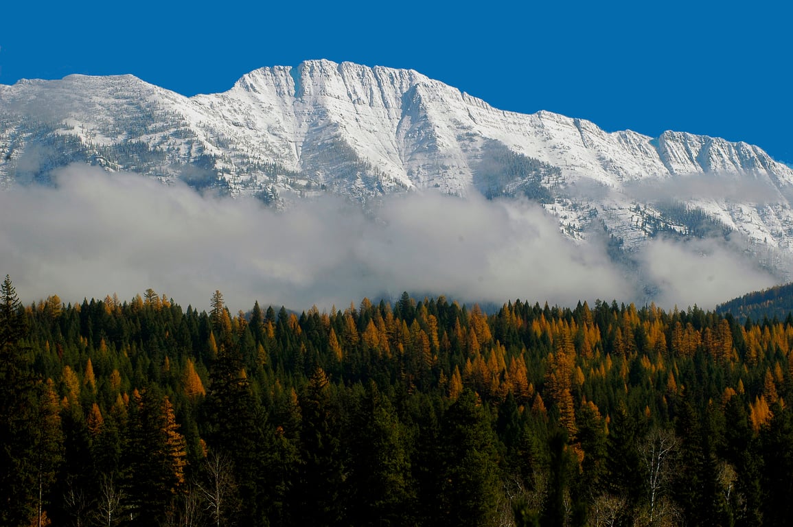 Fall in the Swan Valley